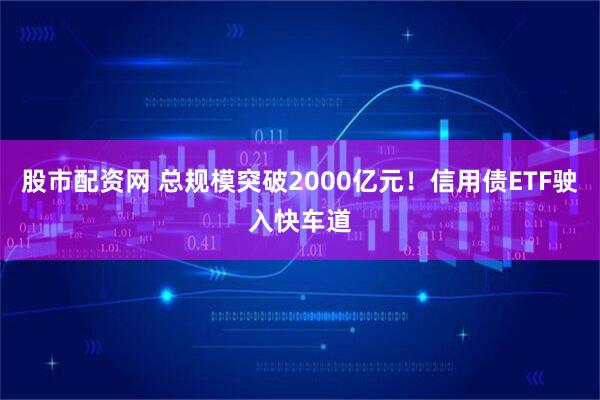 股市配资网 总规模突破2000亿元！信用债ETF驶入快车道