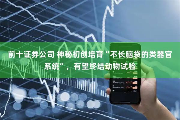 前十证券公司 神秘初创培育“不长脑袋的类器官系统”，有望终结动物试验