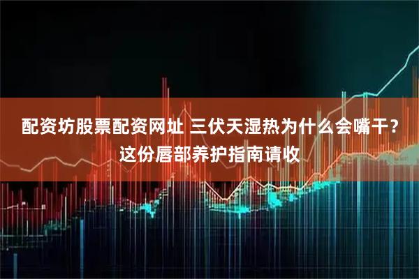 配资坊股票配资网址 三伏天湿热为什么会嘴干？这份唇部养护指南请收